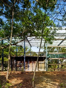 Jacobs-Ladder-&-Watersports-Store © Architecture BRIO
