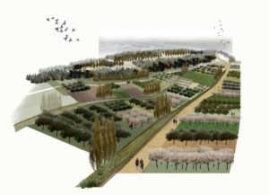 topio7 | Eco Project | Greece