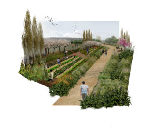 topio7 | Eco Project | Greece