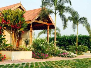 Back To Heaven | UNEVEN | Vadodara