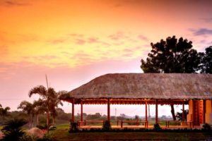 Back To Heaven | UNEVEN | Vadodara