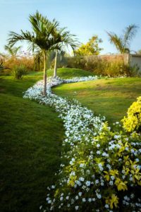 Back To Heaven | UNEVEN | Vadodara